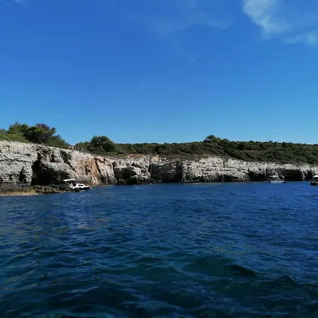 Apartmenthaus Viktoria Appartamento